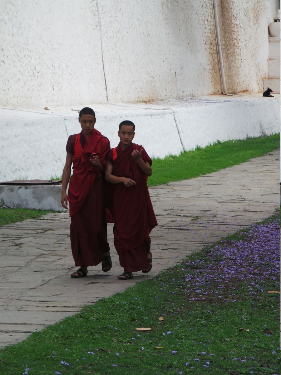 Punakha Dzong43